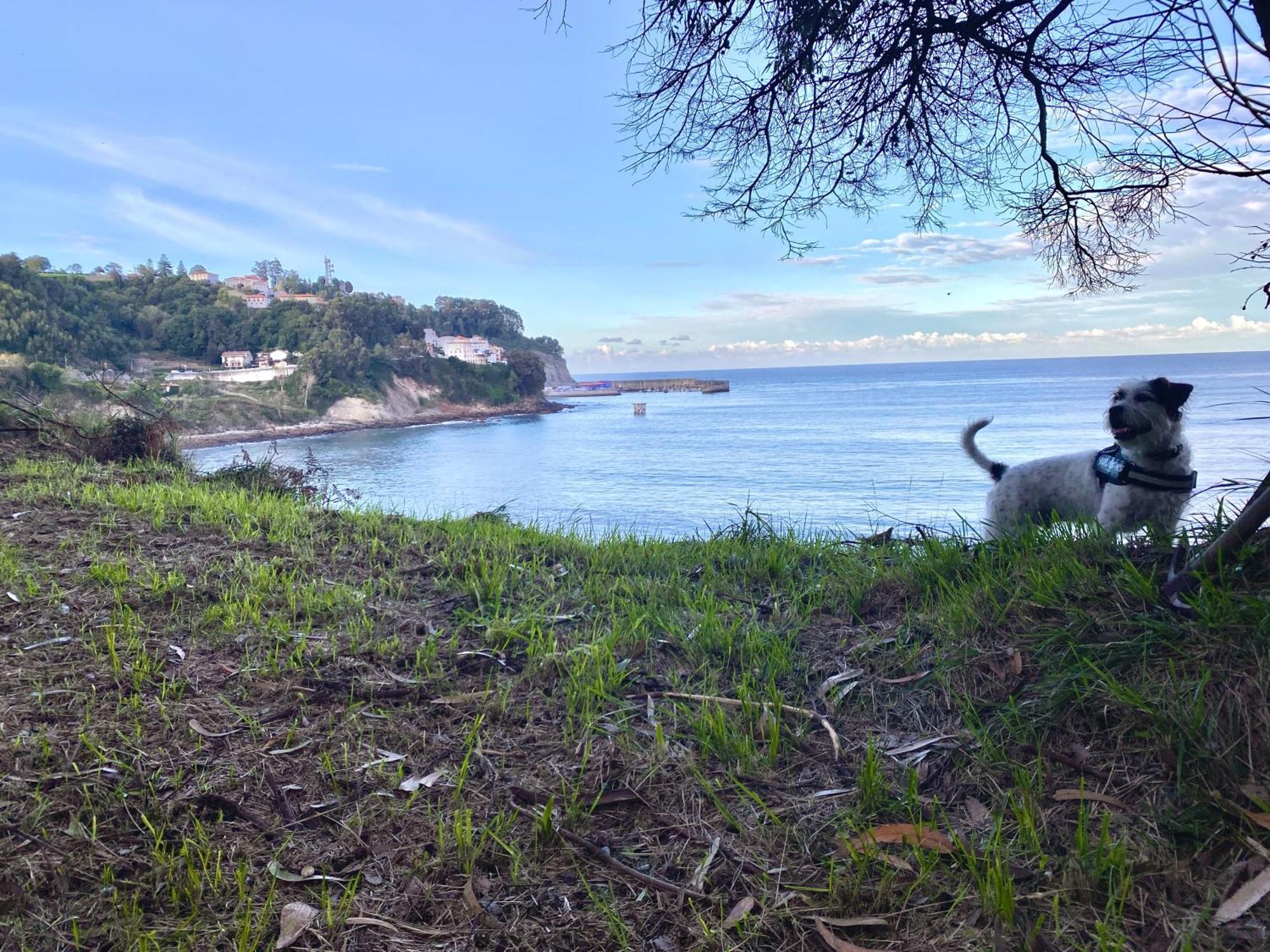 El Apartamentin De Lastres Extérieur photo